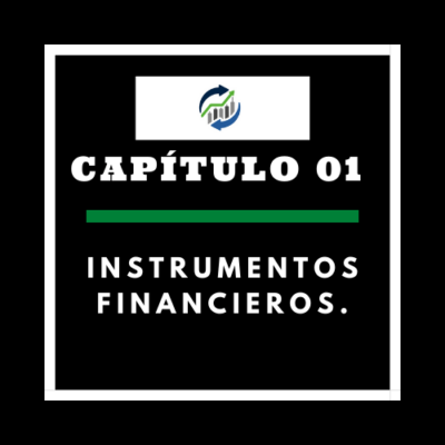 Instrumentos financieros: Valores negociables.
