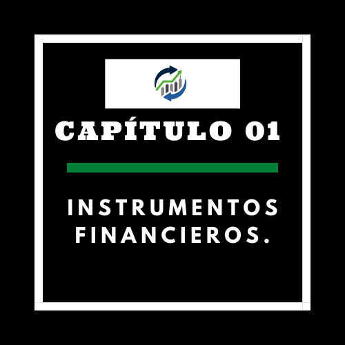 Instrumentos financieros: Valores negociables.